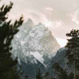 Trump or Biden. Who can best obscure the battle on Mount Olympus?